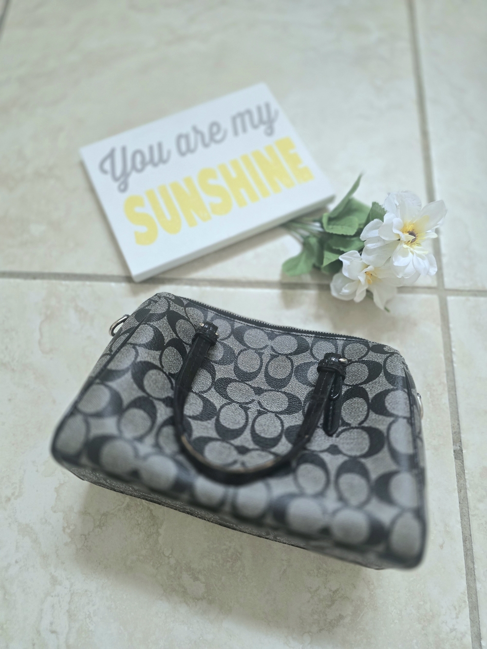 Coach Gray and Black Signature Mini Hand Shoulder Bag